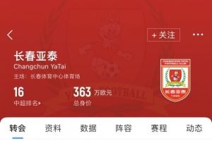 亚泰夏窗汇总：卡米洛顶替贝里奇，彭欣力、艾菲尔丁等人租借加盟